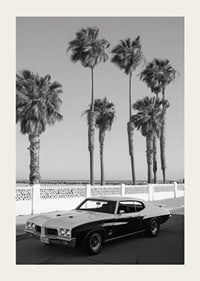 A classic muscle car is parked by the sea under swaying palm trees.-3