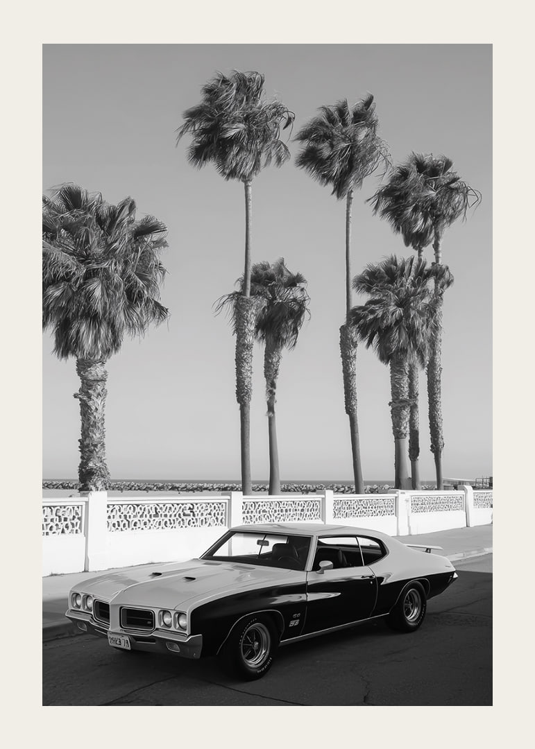 A classic muscle car is parked by the sea under swaying palm trees.-12