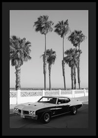 A classic muscle car is parked by the sea under swaying palm trees.-4