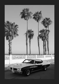 A classic muscle car is parked by the sea under swaying palm trees.-5