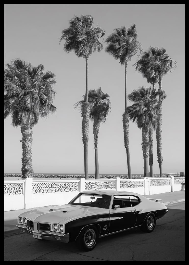 A classic muscle car is parked by the sea under swaying palm trees.-12