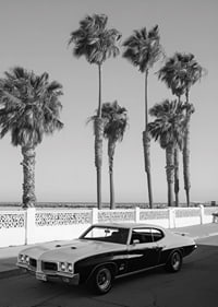A classic muscle car is parked by the sea under swaying palm trees.-7