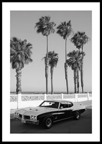 A classic muscle car is parked by the sea under swaying palm trees.-0