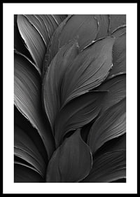 Dark, elegant leaves form a harmonious dance.-2