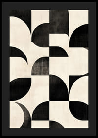 Curbele alb-negru creează un balet perfect armonios.-4