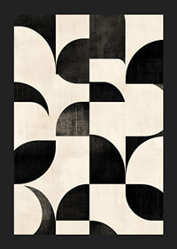 Black and white curves create a perfectly harmonious ballet.-5