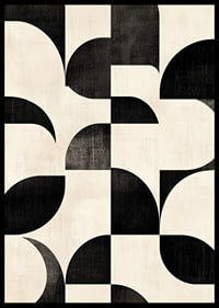 Black and white curves create a perfectly harmonious ballet.-6