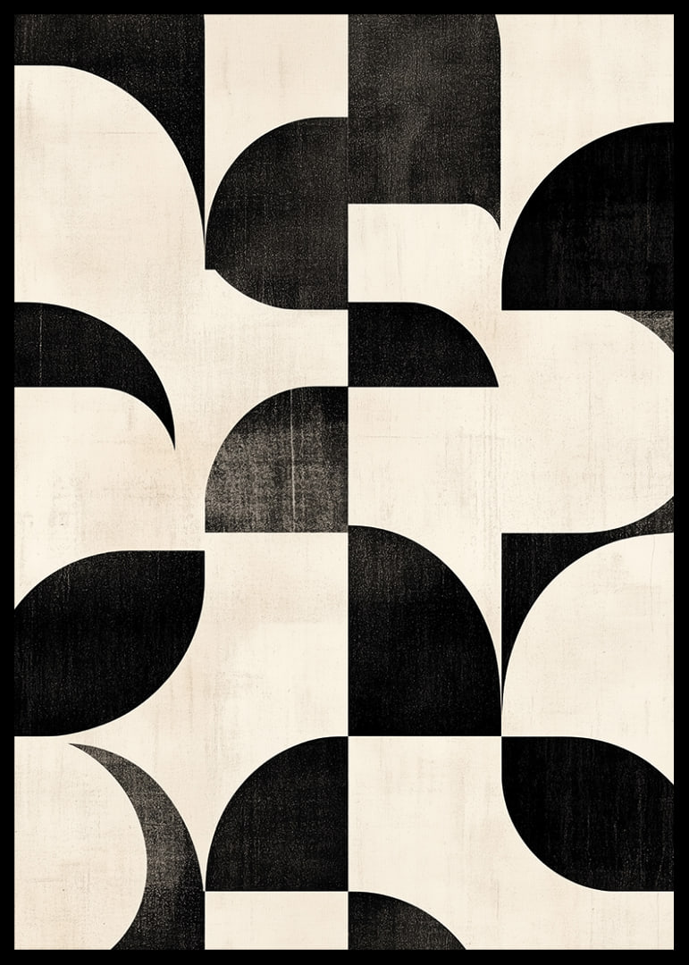 Black and white curves create a perfectly harmonious ballet.-12