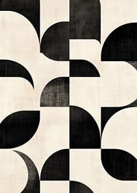 Black and white curves create a perfectly harmonious ballet.-7