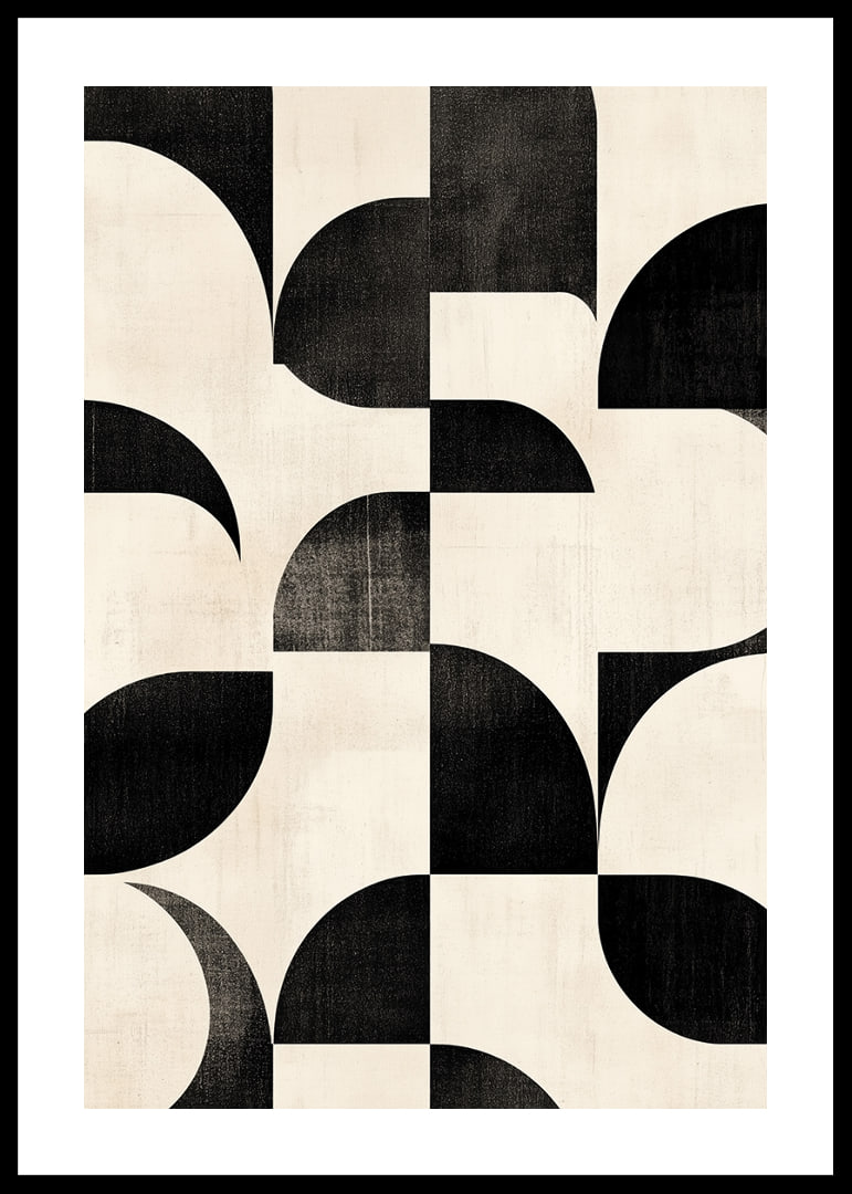 Black and white curves create a perfectly harmonious ballet.-12
