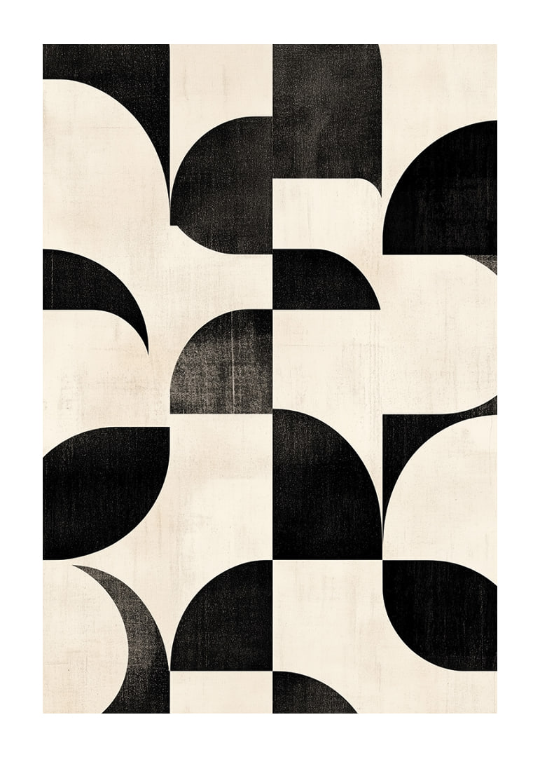 Black and white curves create a perfectly harmonious ballet.-12