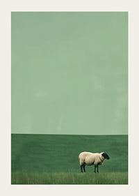A lonely sheep in a quiet green meadow inspires tranquility.-3