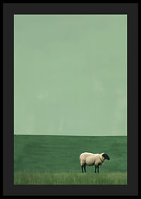 A lonely sheep in a quiet green meadow inspires tranquility.-4