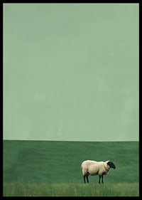 A lonely sheep in a quiet green meadow inspires tranquility.-6