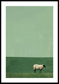 A lonely sheep in a quiet green meadow inspires tranquility.-0