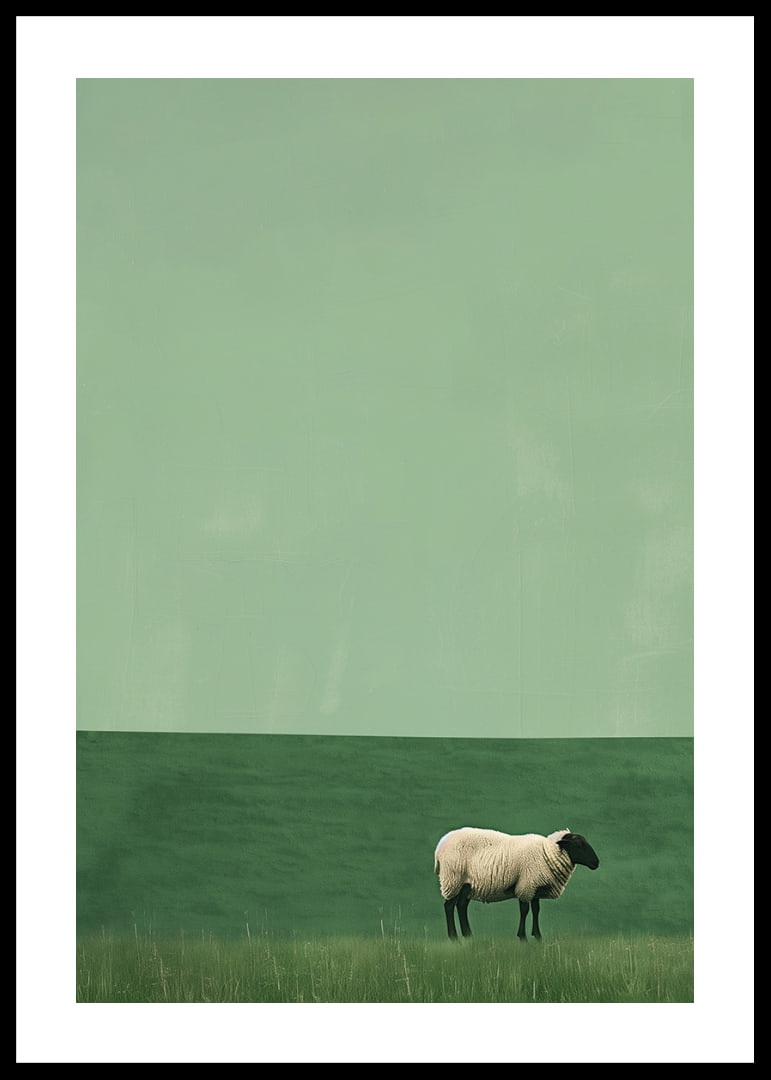 A lonely sheep in a quiet green meadow inspires tranquility.-12