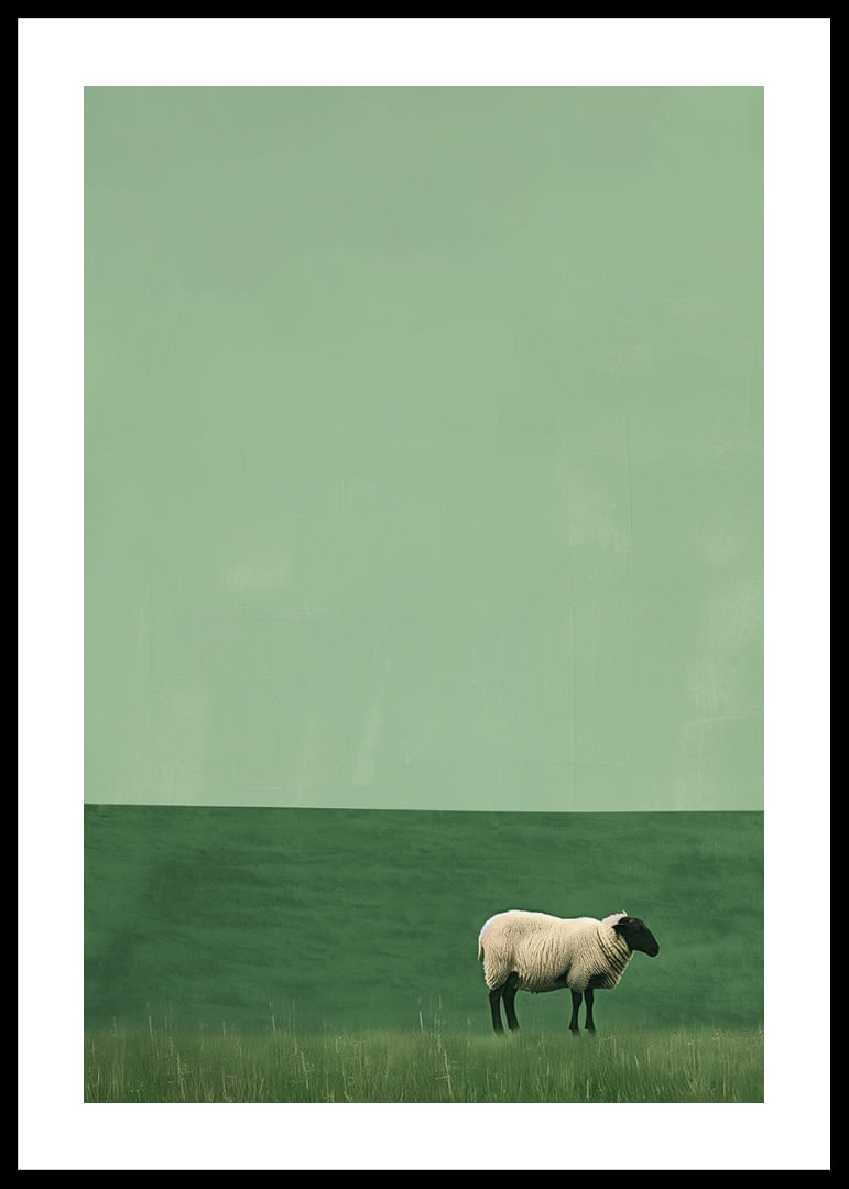 O oaie singură într-o pajiște verde și liniștită inspiră liniște.-12