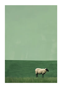 A lonely sheep in a quiet green meadow inspires tranquility.-1