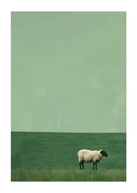 O oaie singură într-o pajiște verde și liniștită inspiră liniște.-1