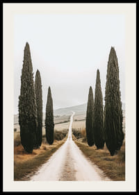 En väg kantad av cypresser leder in i ett fridfullt landskap.-2