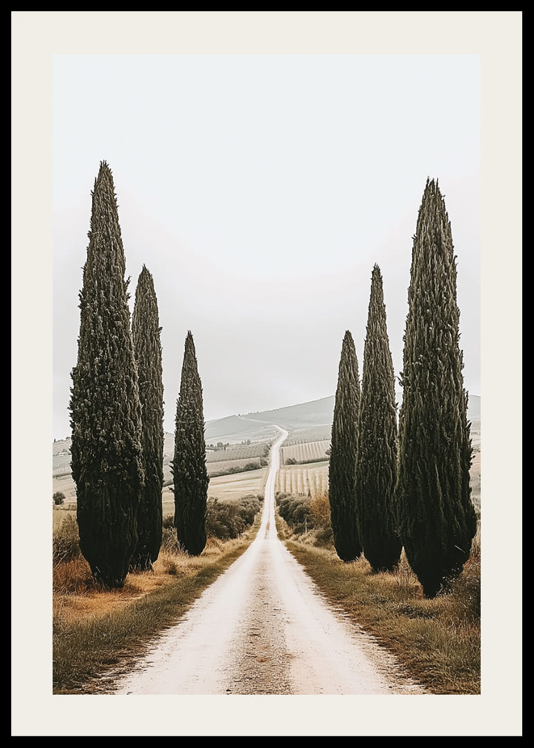 En väg kantad av cypresser leder in i ett fridfullt landskap.-12
