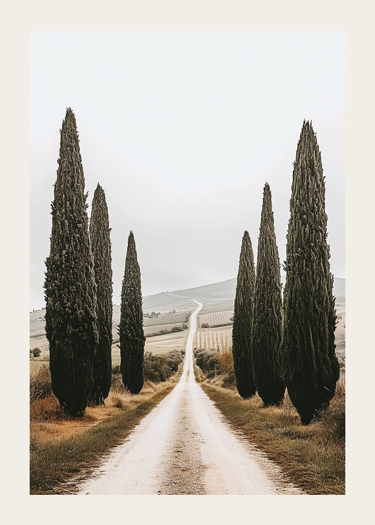 En väg kantad av cypresser leder in i ett fridfullt landskap.-12