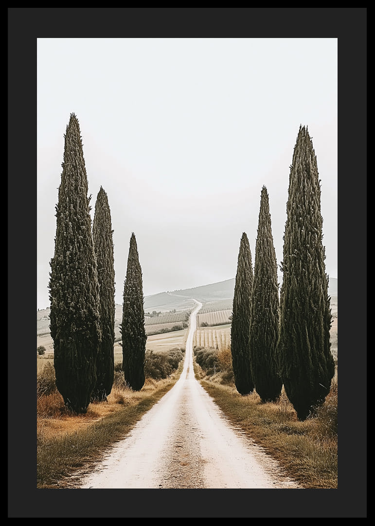 En väg kantad av cypresser leder in i ett fridfullt landskap.-12