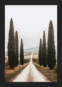 En väg kantad av cypresser leder in i ett fridfullt landskap.-5