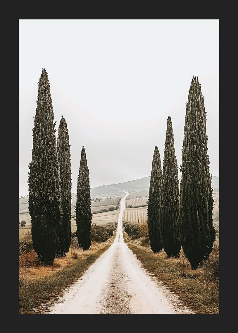 En väg kantad av cypresser leder in i ett fridfullt landskap.-12