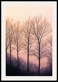 The silhouettes of the trees against a dreamy purple sky create tranquility.-2