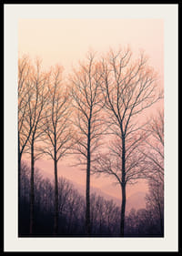 The silhouettes of the trees against a dreamy purple sky create tranquility.-2