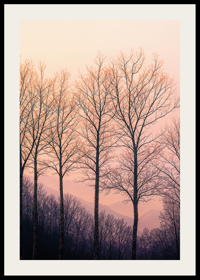 The silhouettes of the trees against a dreamy purple sky create tranquility.-12
