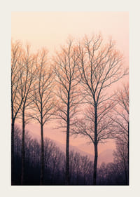 The silhouettes of the trees against a dreamy purple sky create tranquility.-3