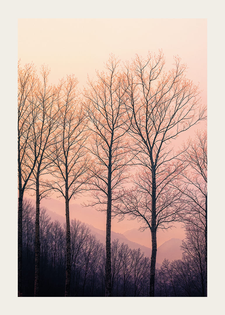 The silhouettes of the trees against a dreamy purple sky create tranquility.-12
