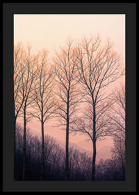 The silhouettes of the trees against a dreamy purple sky create tranquility.-4