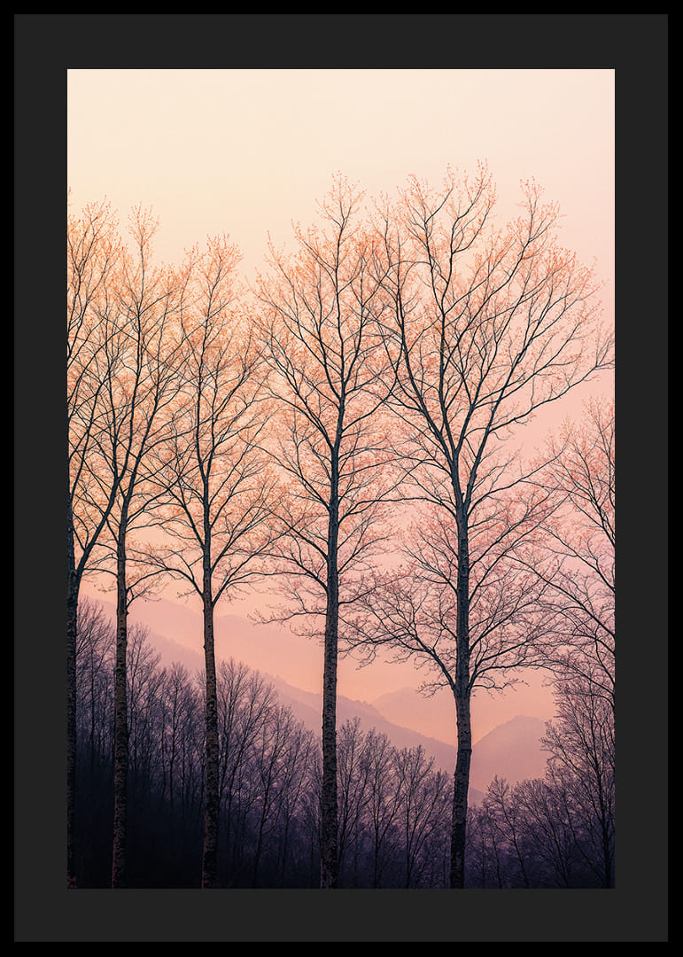 The silhouettes of the trees against a dreamy purple sky create tranquility.-12