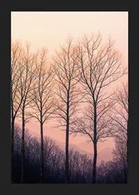 The silhouettes of the trees against a dreamy purple sky create tranquility.-5