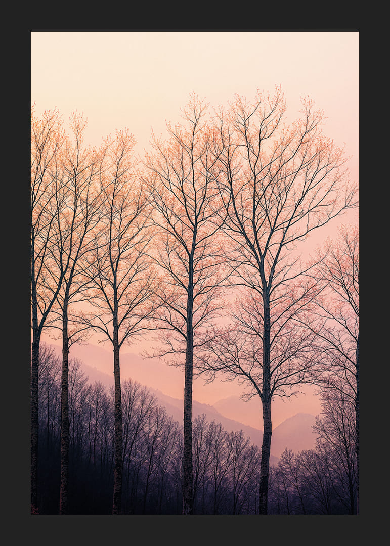 The silhouettes of the trees against a dreamy purple sky create tranquility.-12