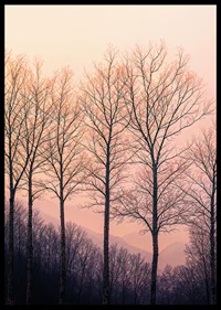 The silhouettes of the trees against a dreamy purple sky create tranquility.-6