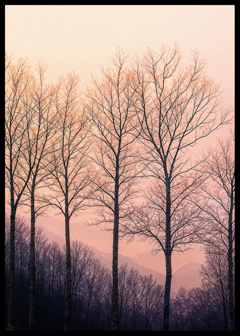 The silhouettes of the trees against a dreamy purple sky create tranquility.-12