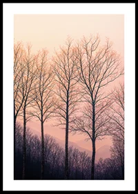 The silhouettes of the trees against a dreamy purple sky create tranquility.-0