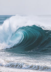A powerful wave captured in a moment of perfect harmony.-3