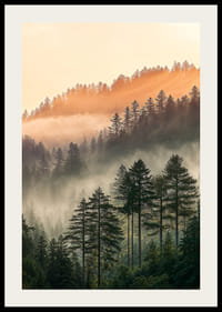 Skogens dimmiga morgonljus skapar en magisk atmosfär.-2