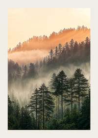 Skogens dimmiga morgonljus skapar en magisk atmosfär.-3