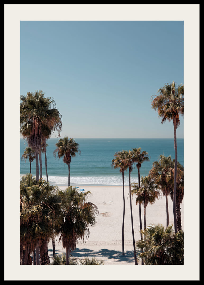 Las palmeras contra un horizonte de playa tranquilo crean calma y armonía.-12