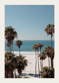 Las palmeras contra un horizonte de playa tranquilo crean calma y armonía.-3