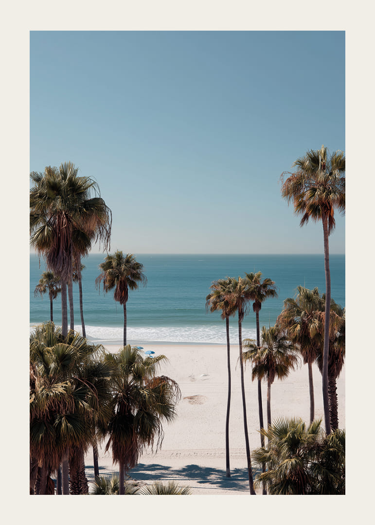 Las palmeras contra un horizonte de playa tranquilo crean calma y armonía.-12