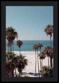 Las palmeras contra un horizonte de playa tranquilo crean calma y armonía.-4