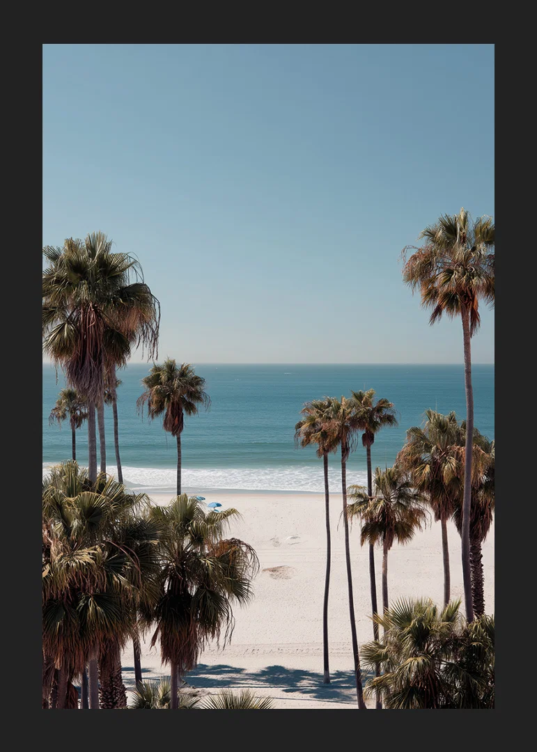 Palm trees against a peaceful beach horizon create calm and harmony.-12