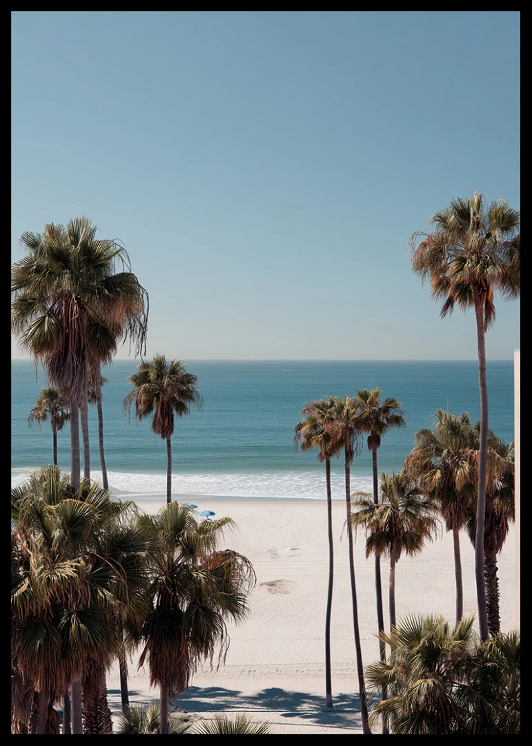 Palm trees against a peaceful beach horizon create calm and harmony.-12